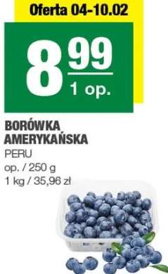 borówka amerykańska