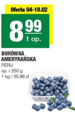 Borówka amerykańska