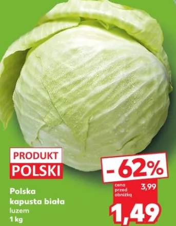 kapusta biała