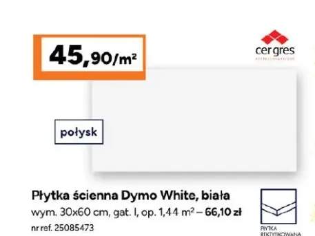 Płytka ścienna
