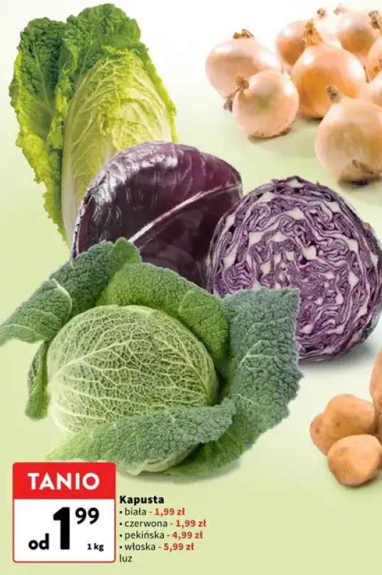 kapusta czerwona