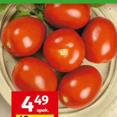 Pomidory