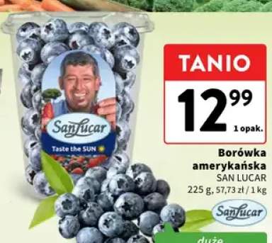 Borówka amerykańska