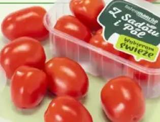 Pomidory daktylowe