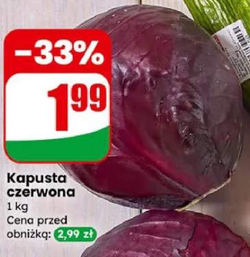 kapusta czerwona