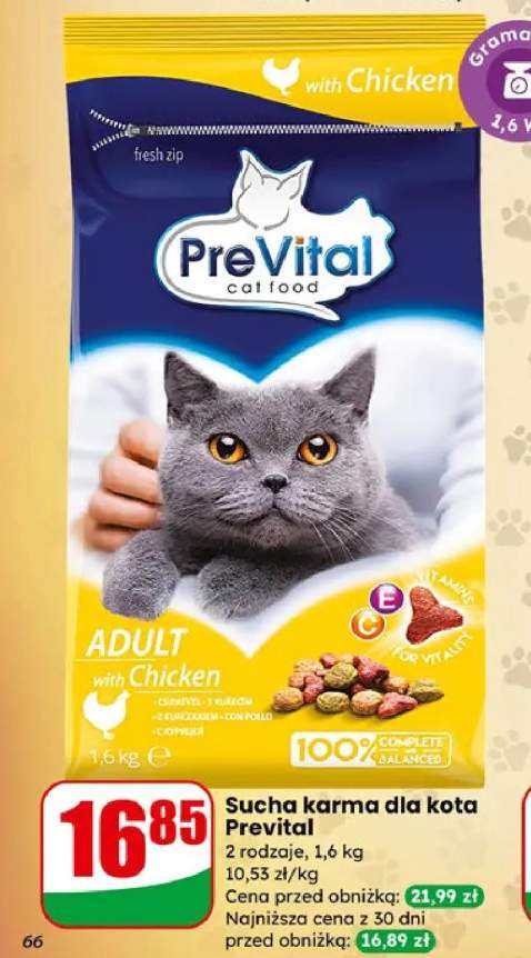 Karma sucha dla kota