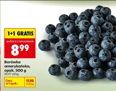 Borówka amerykańska