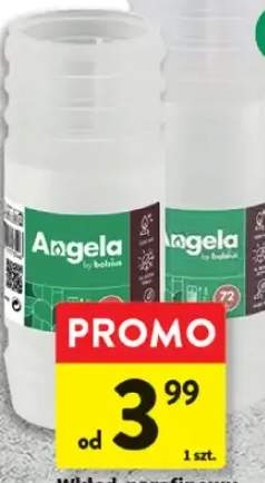 Wkład parafinowy do znicza