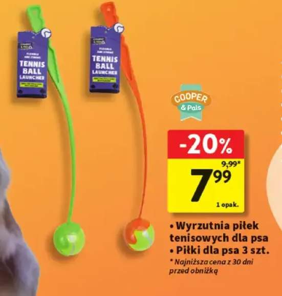 Wyrzutnia piłek tenisowych dla psa