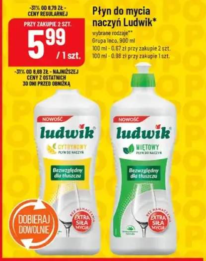 Płyn do mycia naczyń Ludwik