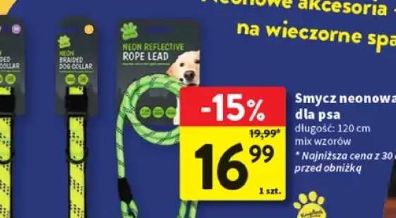 Smycz neonowa dla psa