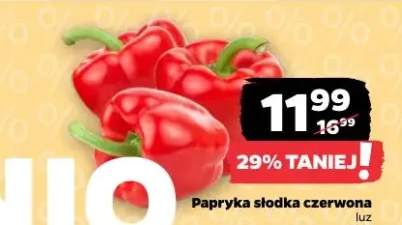 papryka słodka