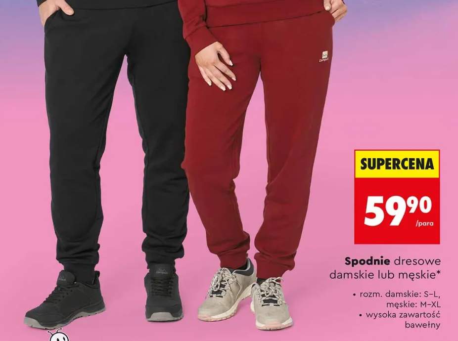 spodnie dresowe damskie