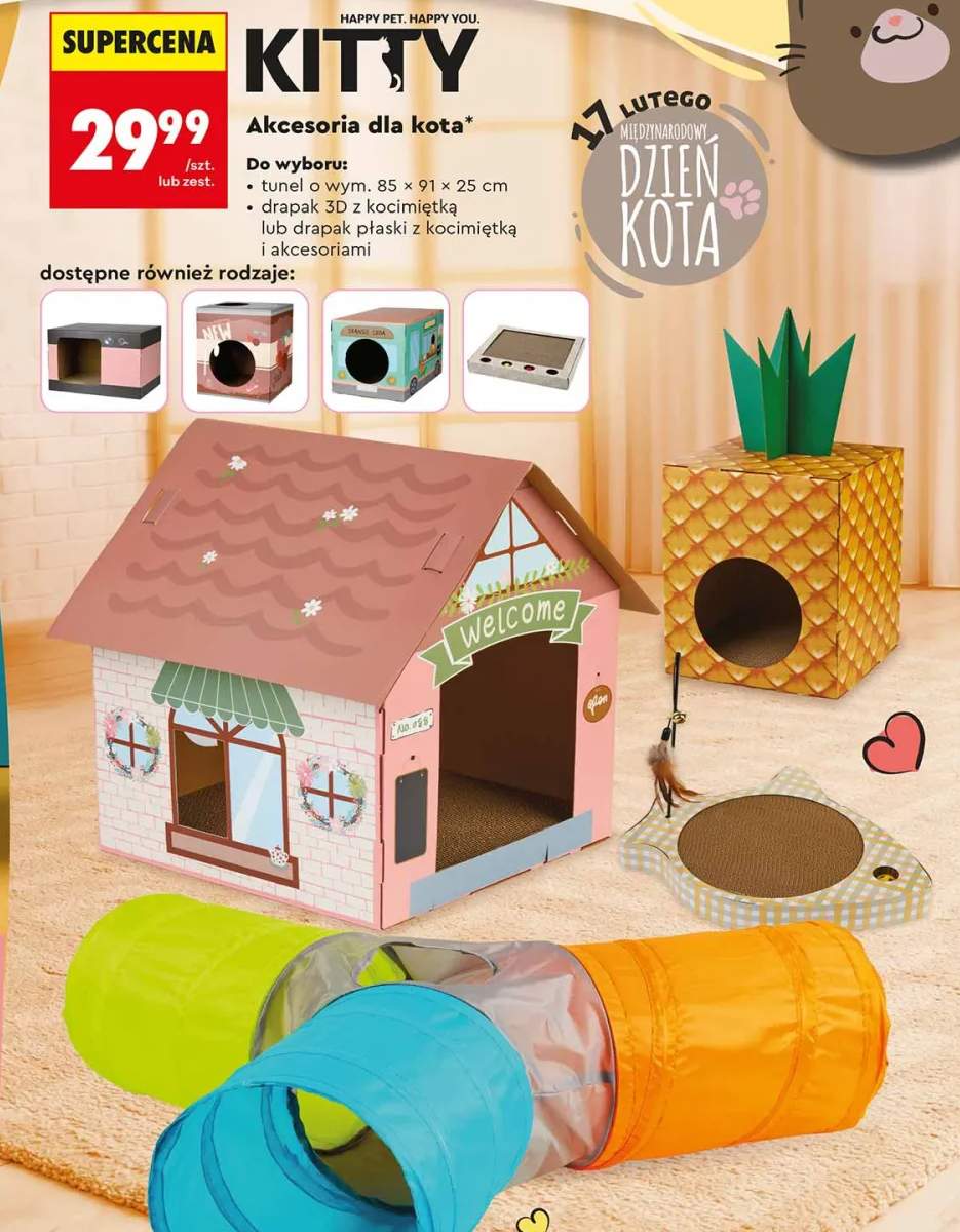 domek dla kota