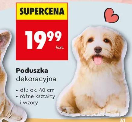 poduszka dekoracyjna