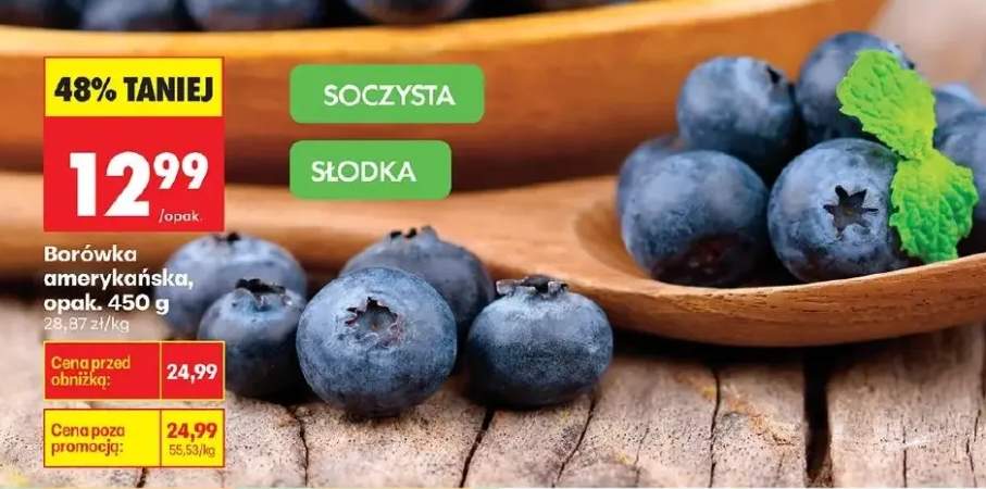 Borówka amerykańska