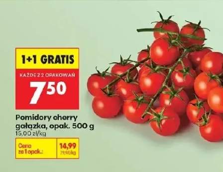 Pomidory cherry gałązka