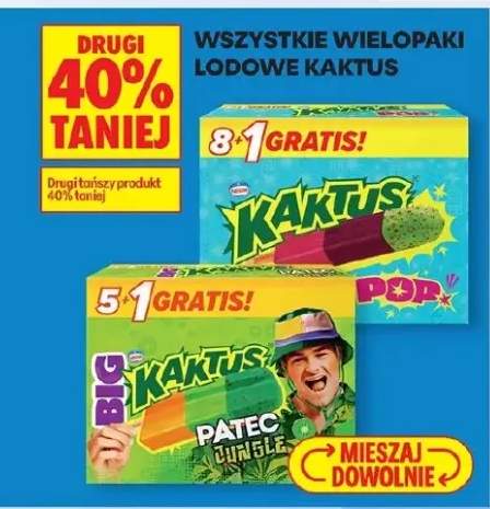 Lody Kaktus różne rodzaje