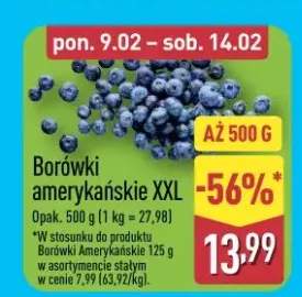Borówki amerykańskie XXL