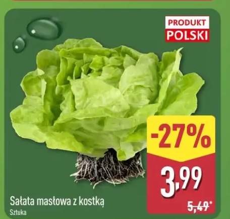 Sałata masłowa z kostką