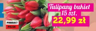 Tulipany bukiet 15 szt.