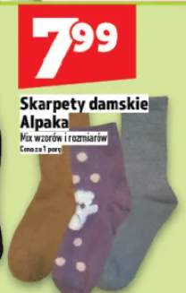 skarpety damskie