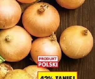 Cebula żółta na wagę