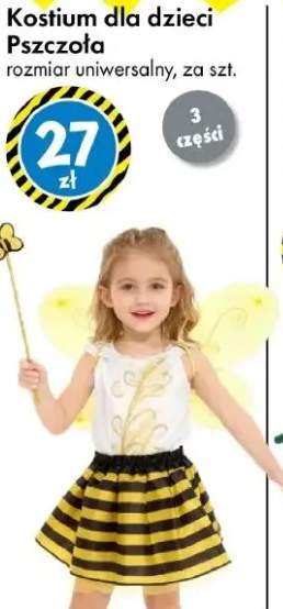 Strój karnawałowy dla dzieci