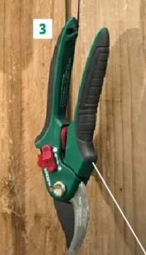 Sekator lub nożyce ogrodowe