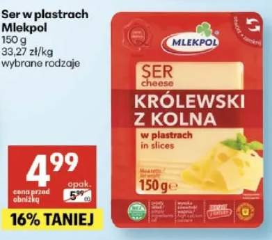 Ser w plastrach Królewski z Kolna