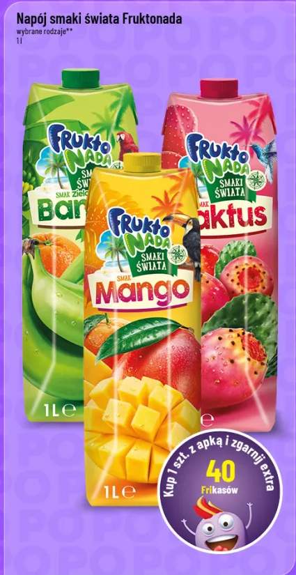 Napój smaki świata Fruktonada wybrane rodzaje