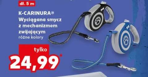 Wyciągana smycz z mechanizmem zwijającym