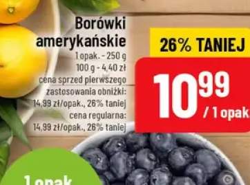 Borówki amerykańskie