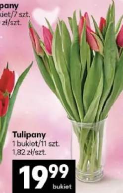Tulipany