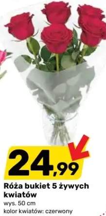 Róża bukiet 5 żywych kwiatów