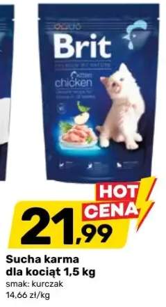 Sucha karma dla kociaź 1,5 kg