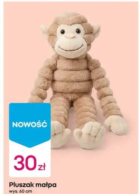 Pluszak małpa