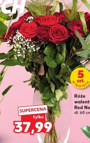 Róże walentynkowe Red Naomi