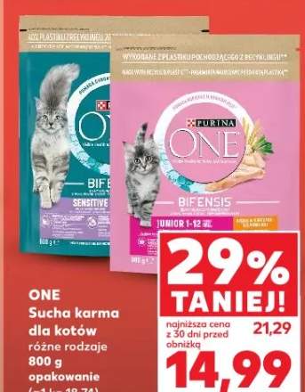 Sucha karma dla kotów różne rodzaje