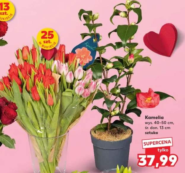 Tulipany walentynkowe czerwone lub różowe, dł. 35 cm