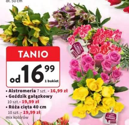 Róża cięta 40cm 10szt mix kolorów