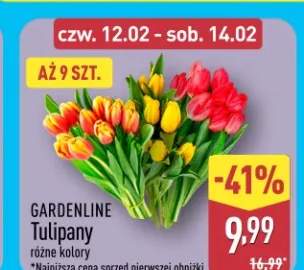 Tulipany