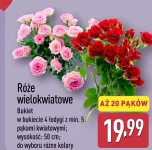 Róże wielokwiatowe Bukiet