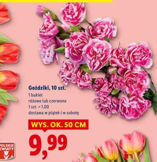 Goździki różowe lub czerwone 10szt.