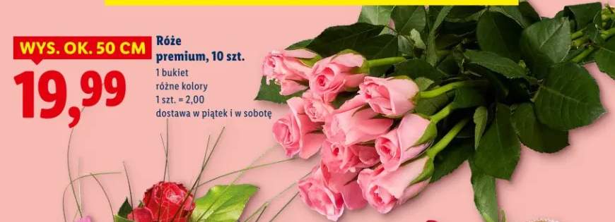 Róże premium 10 szt. różne kolory