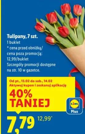 tulipany