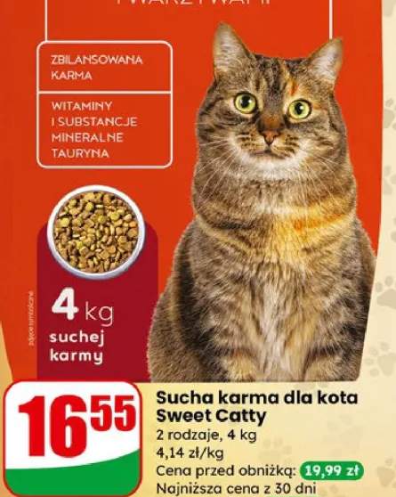 Sucha karma dla kota