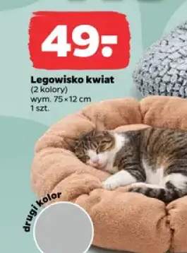 legowisko dla zwierząt