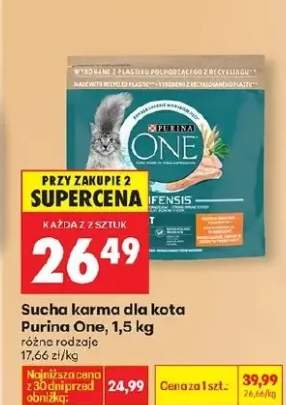 Sucha karma dla kota różne rodzaje