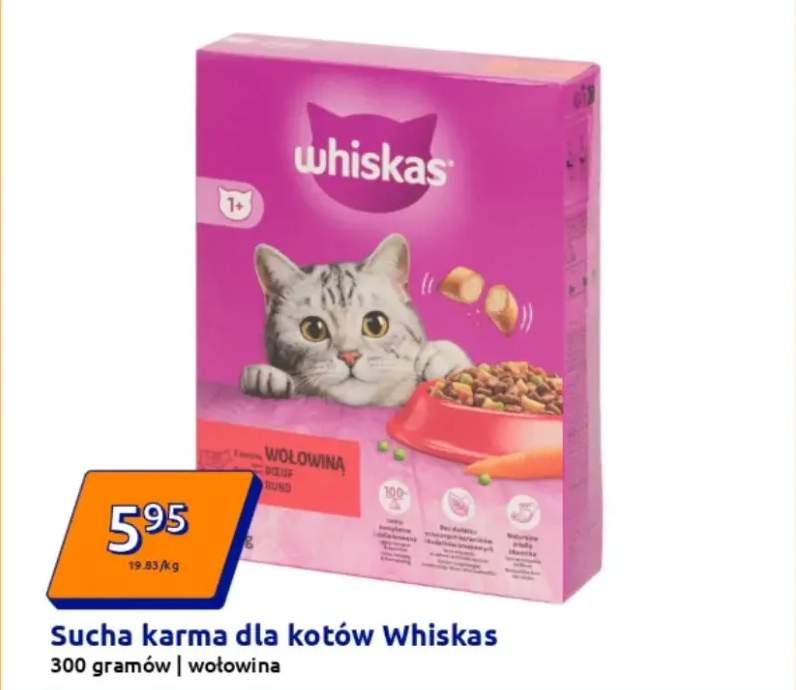 Sucha karma dla kotów wołowina